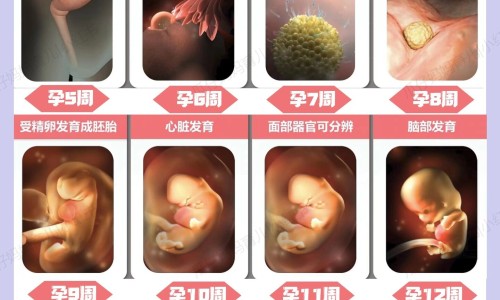 月子帽孕妇发带用品-孕妇帽月子帽网 - 为你提供产妇月子帽的戴法、月子帽怎么戴图片